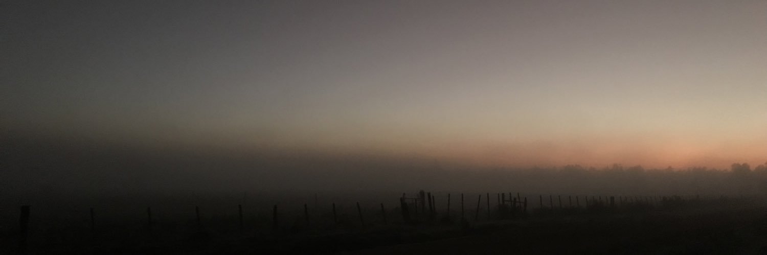 holasosuncapo's profile banner image