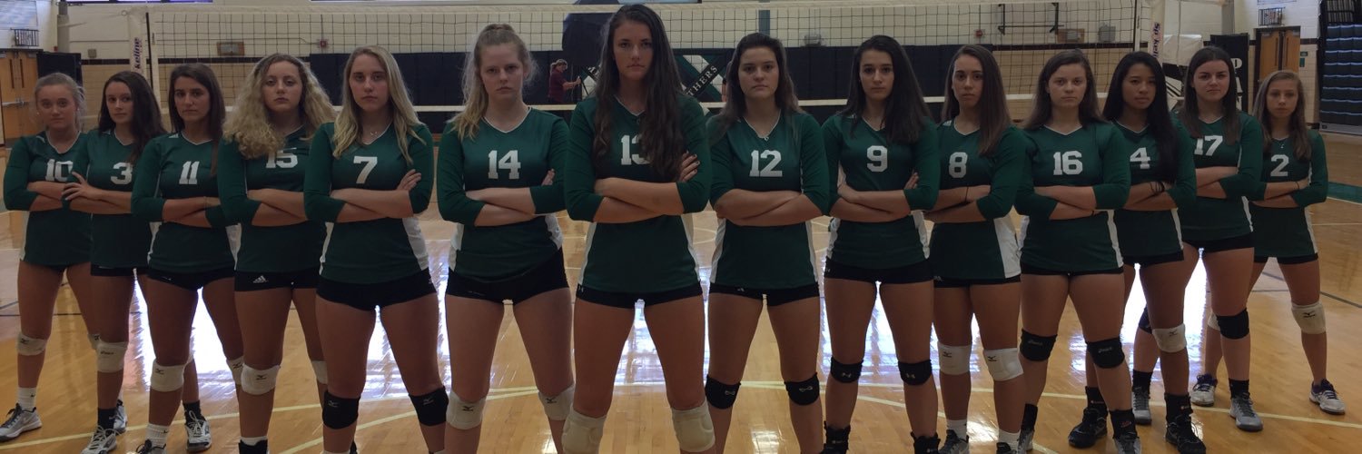 MHSGirlsVB's profile banner image