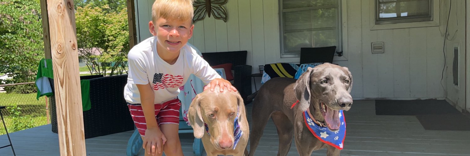 _maddiehull's profile banner image