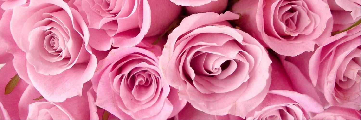 xoxotrang's profile banner image