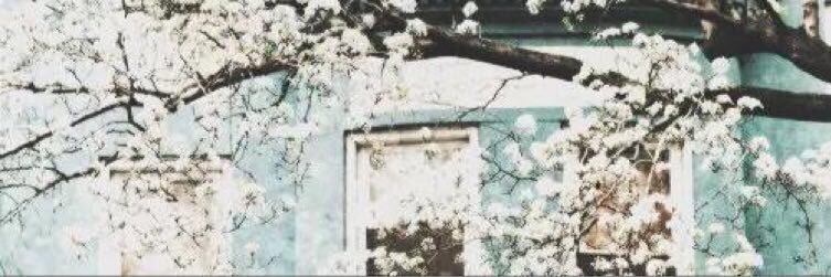 saaaam banner