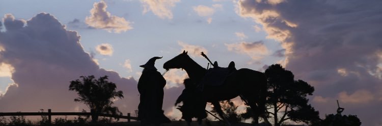 MegjSenha's profile banner image