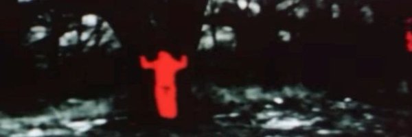 femlipe Profile Banner