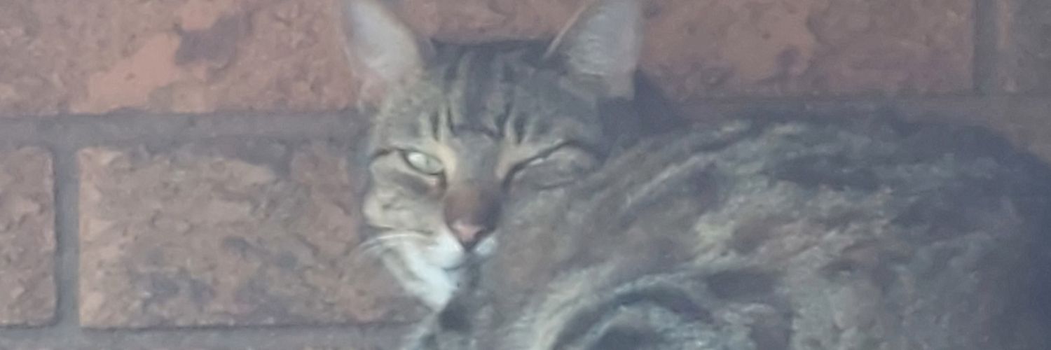 Anthony19661's profile banner image