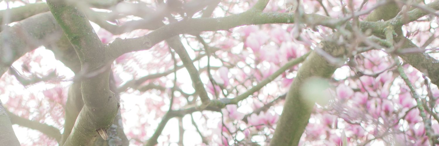 WaitforitCos's profile banner image