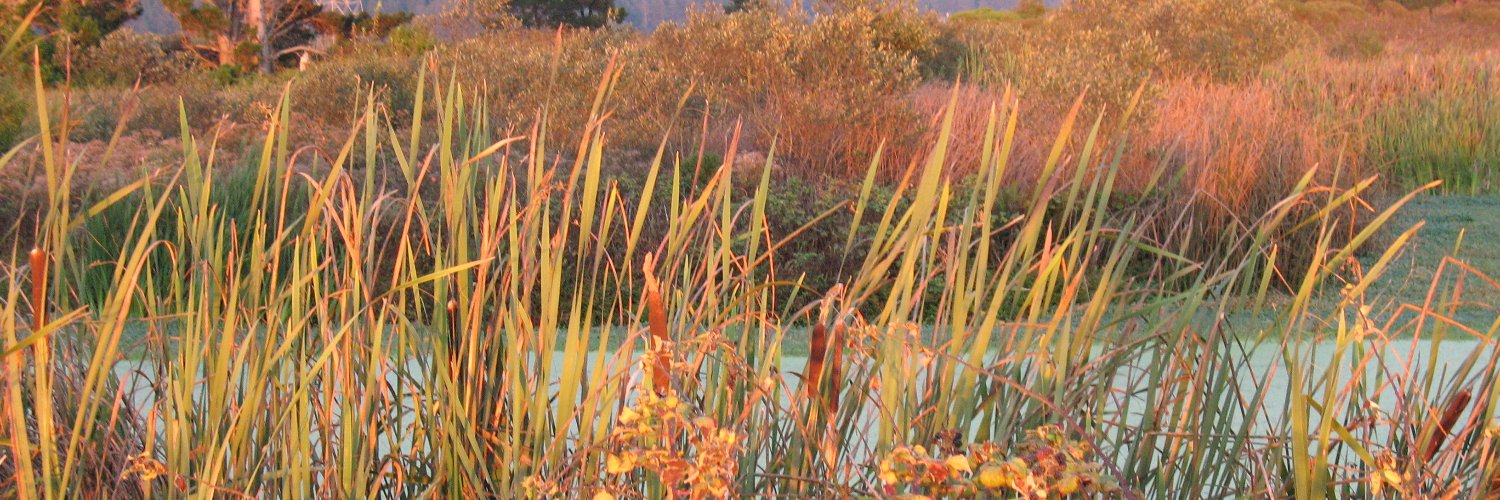 JodyBerman's profile banner image