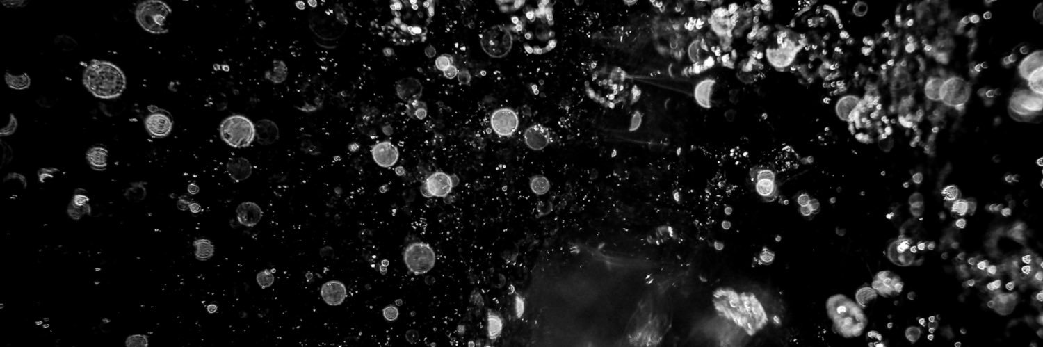 KNXCXM's profile banner image