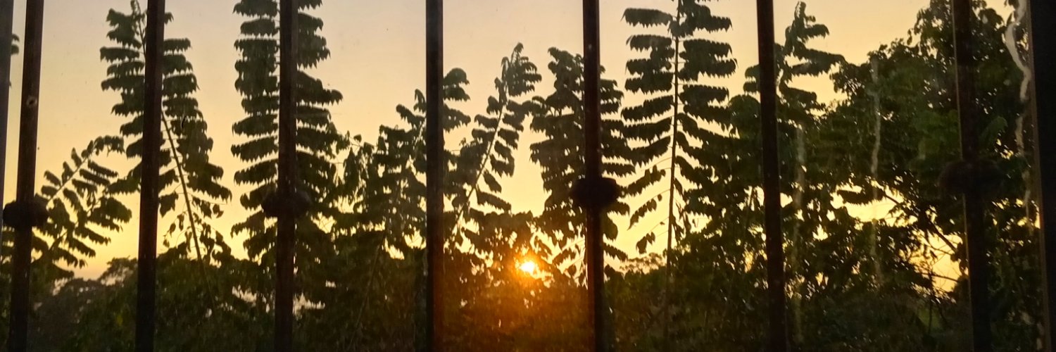 KokoxoFree's profile banner image