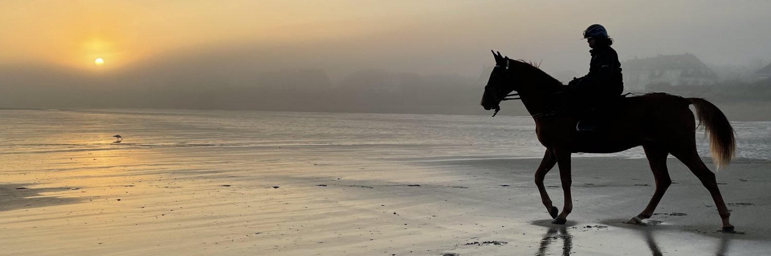 royhagh_'s profile banner image