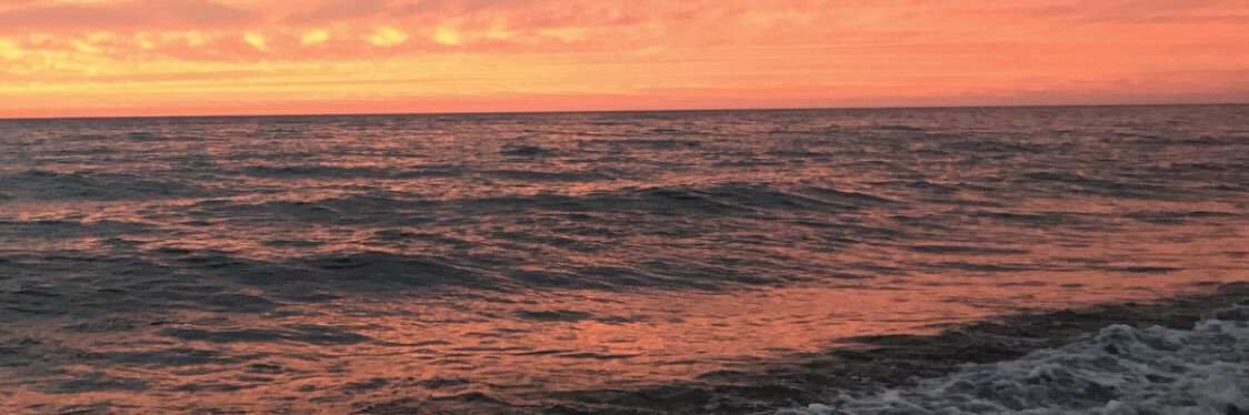 dr_deming's profile banner image