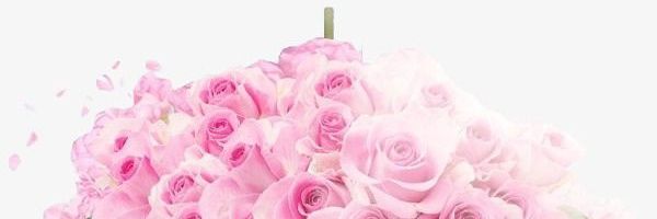 nieee28's profile banner image