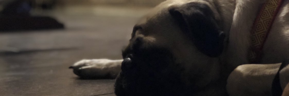 diegogonzalezbe's profile banner image