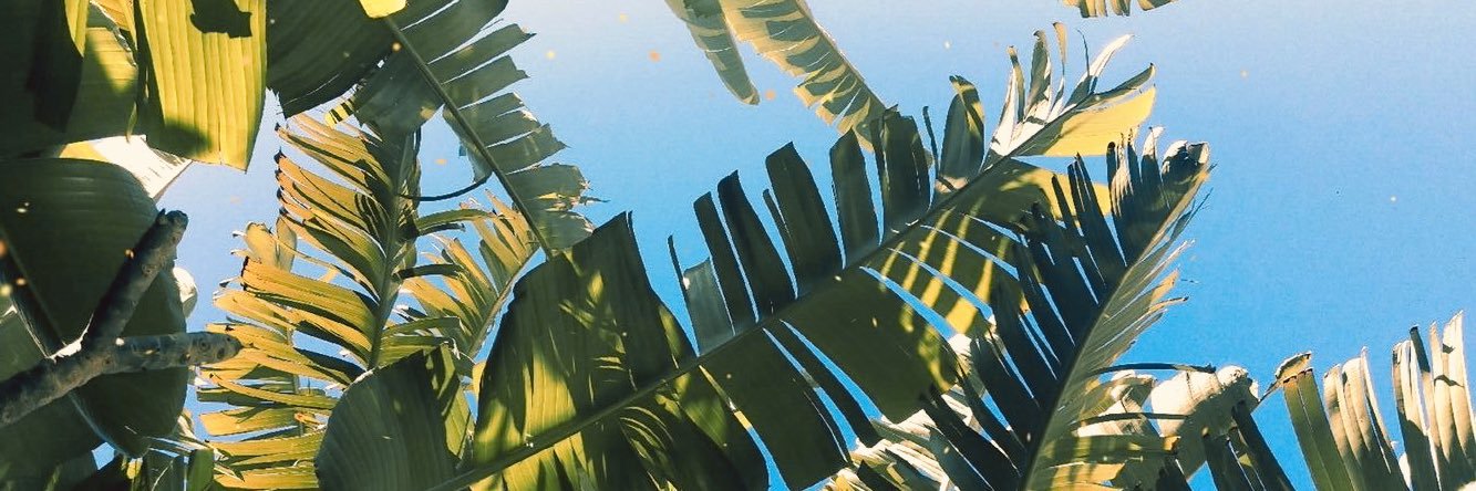 raiverio's profile banner image