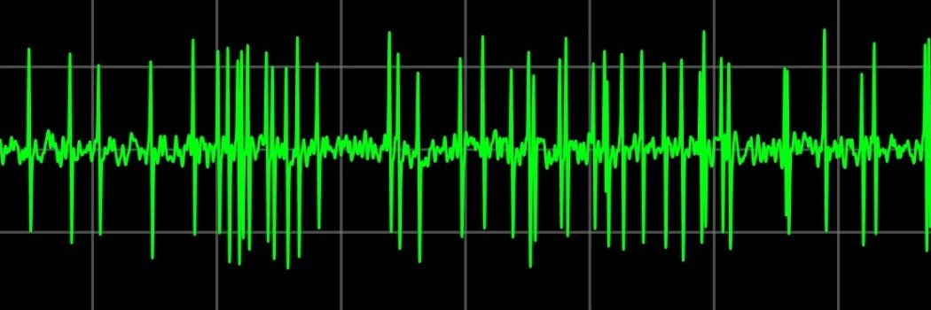 Dr María del Mar Quiroga banner