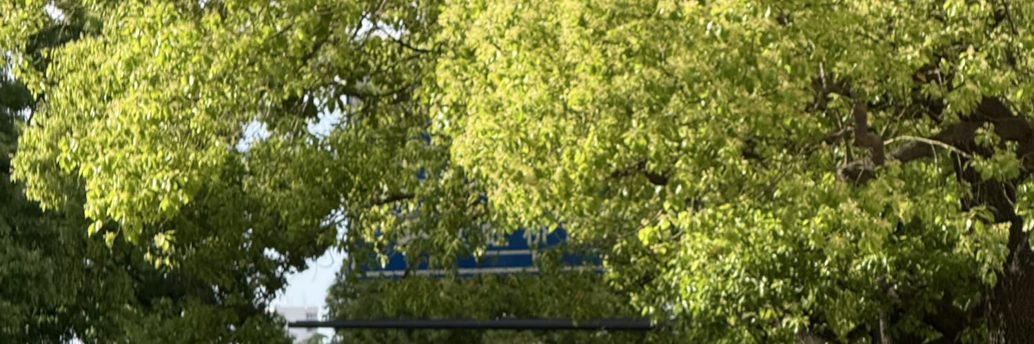 Somefish_CN's profile banner image