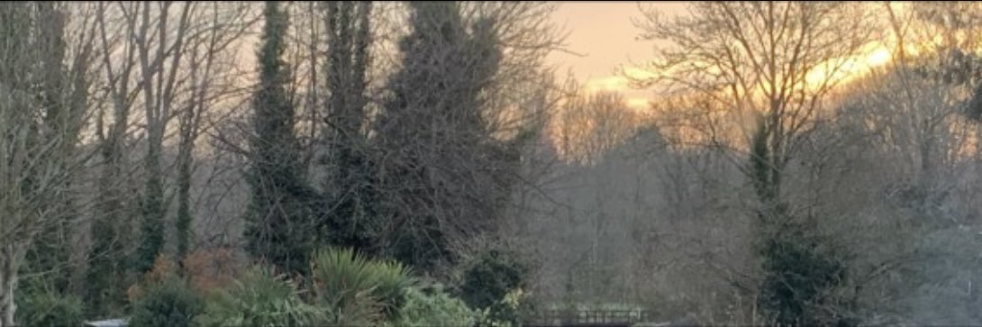 DavidJBanks's profile banner image
