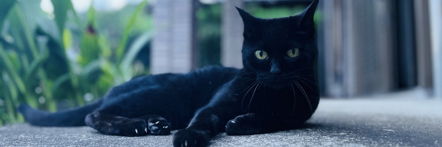 いくとぷらずむ banner