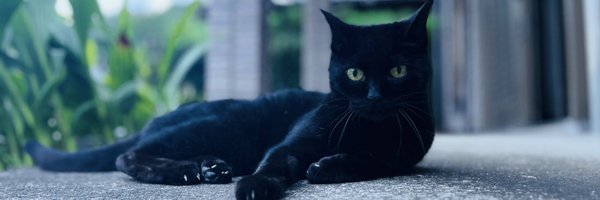 ictoplasm Profile Banner