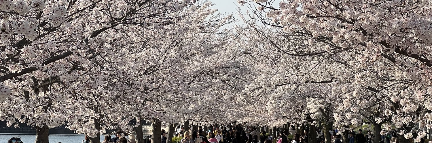 rigel_hayato's profile banner image
