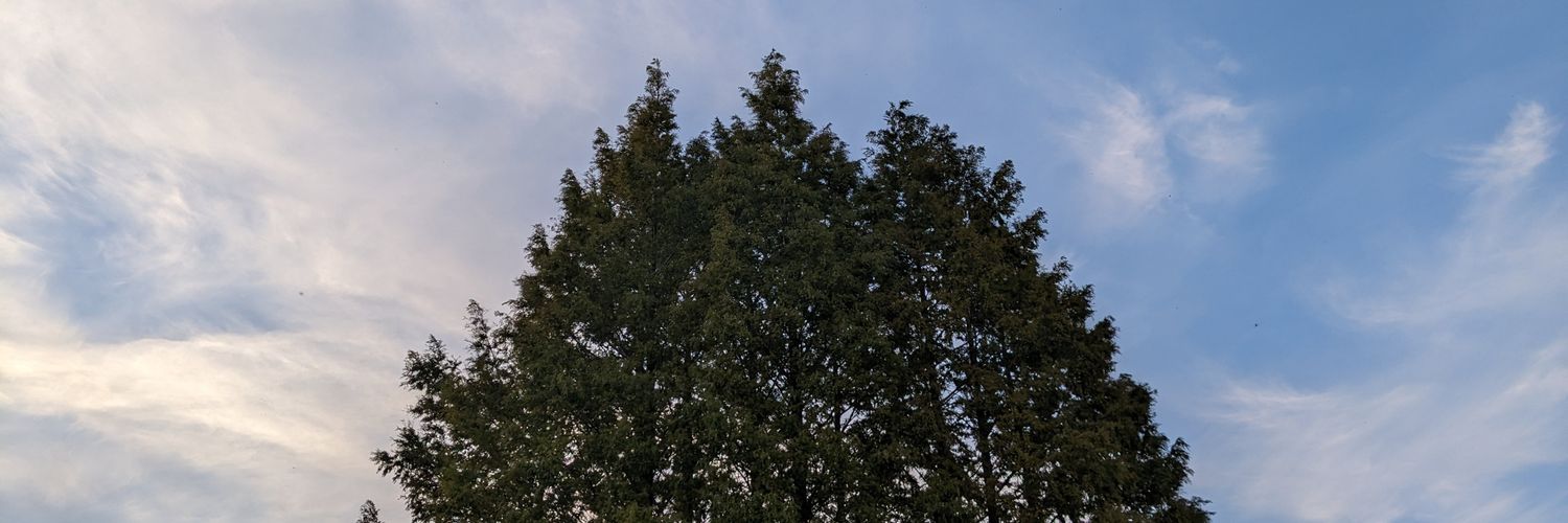 discover_road's profile banner image