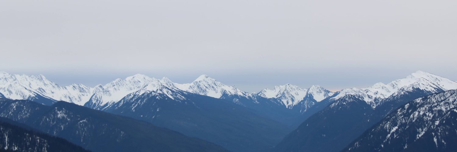 alexaarant's profile banner image