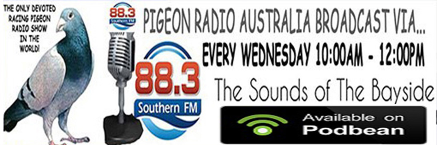 pigeonsradio's profile banner image