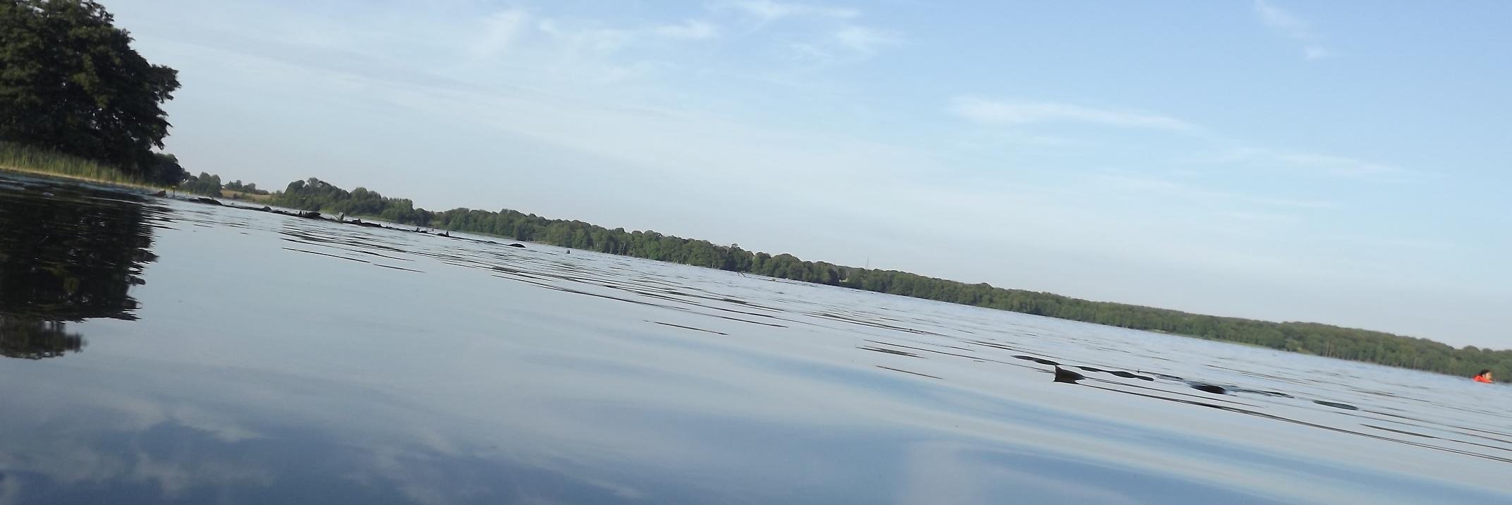 FeeneySeanD's profile banner image