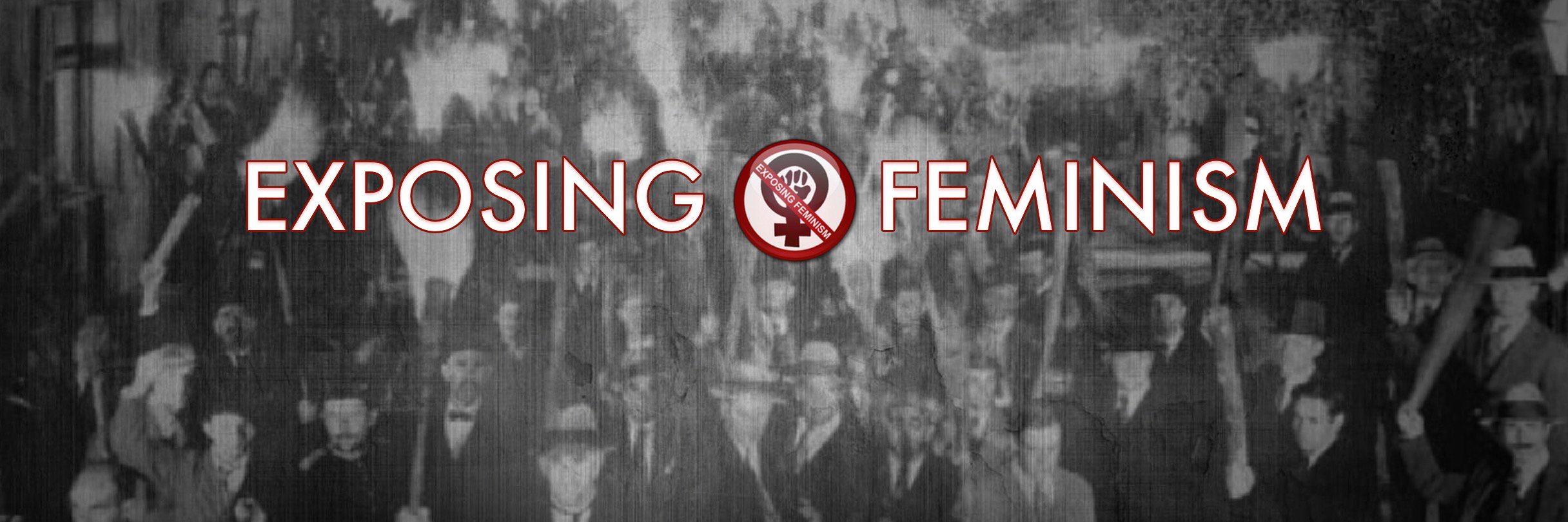 ExposeFeminism's profile banner image