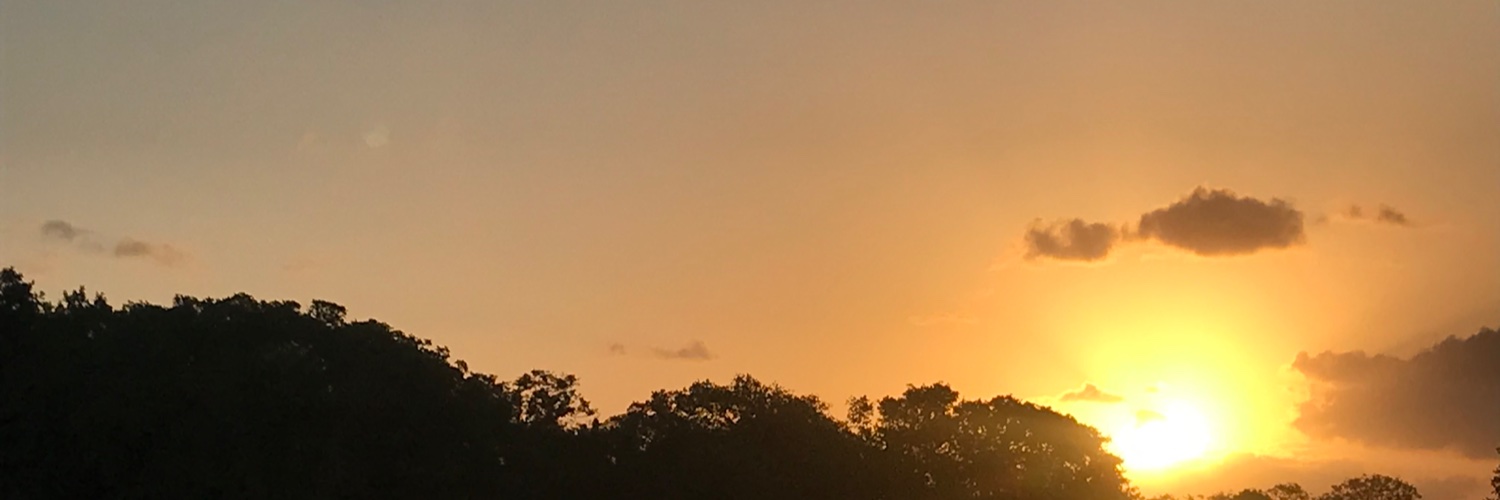 playablu's profile banner image