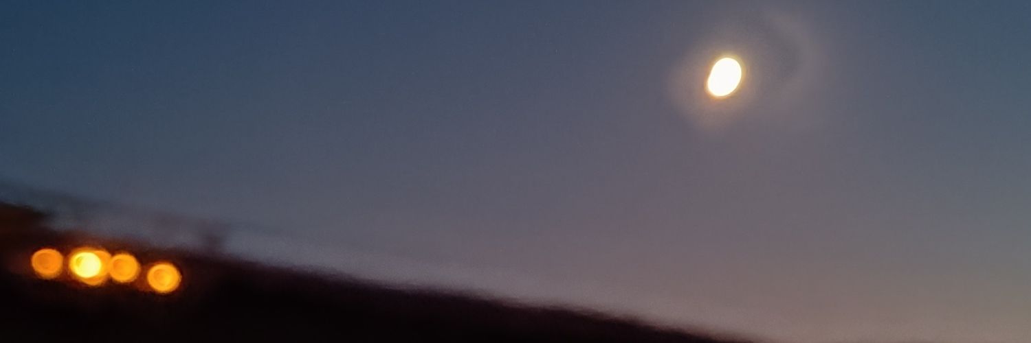 Zileli77's profile banner image