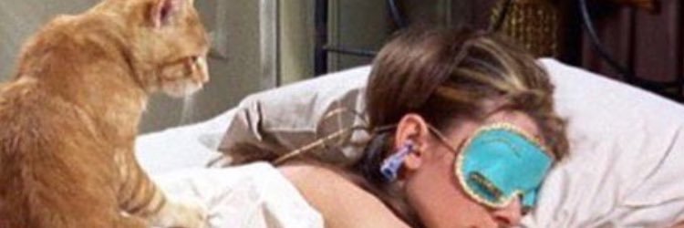 daniellemariek's profile banner image