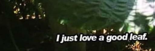 plantguyjames's profile banner image