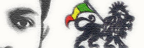 catchfrez's profile banner image