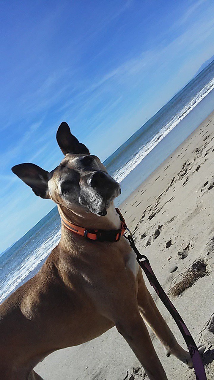 tinybo28's profile banner image