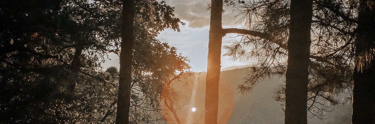 taylorw_6's profile banner image