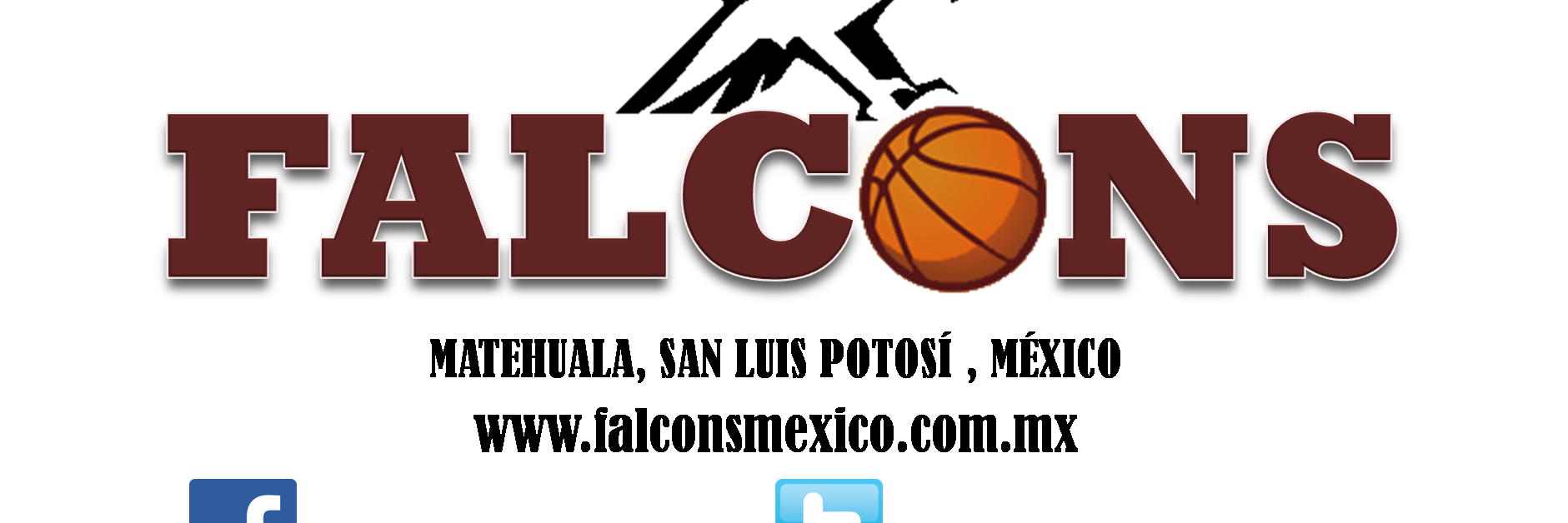 FalconsMx's profile banner image