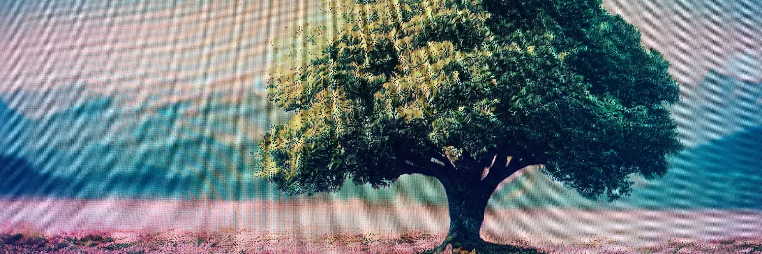 mitchellray614's profile banner image