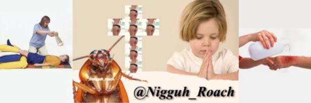 Cockroach banner