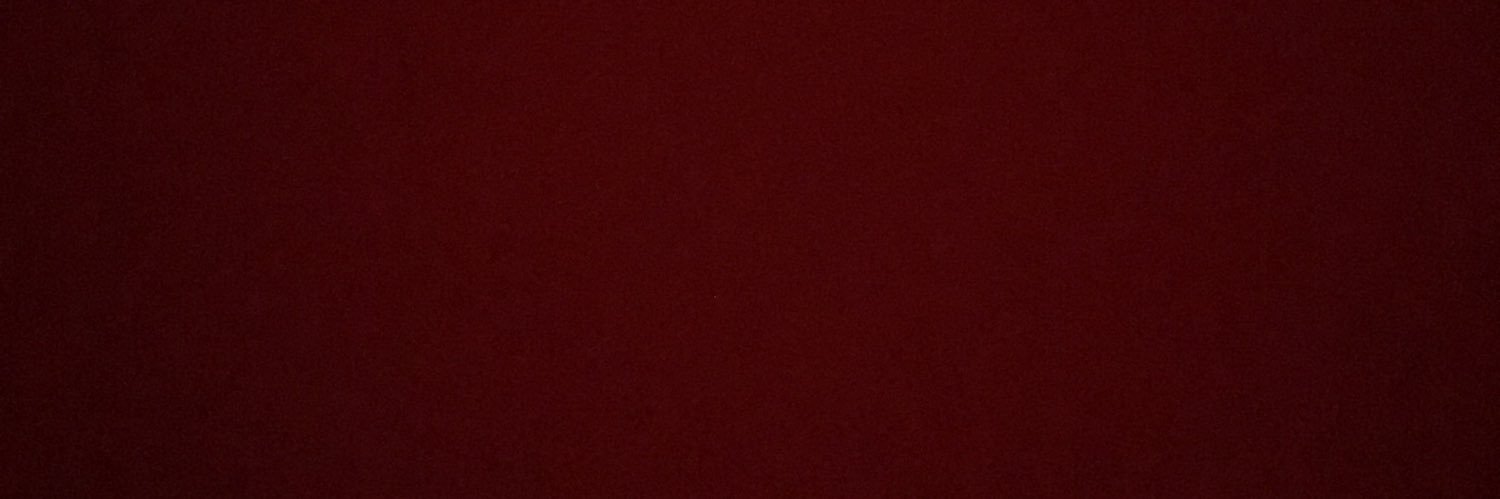 Bigdawg4mo's profile banner image