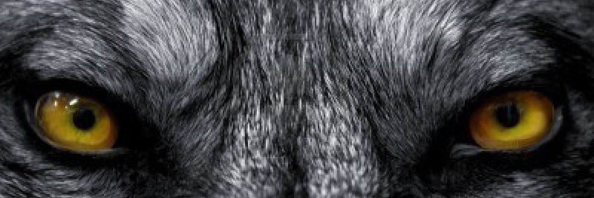 MILASAURA's profile banner image