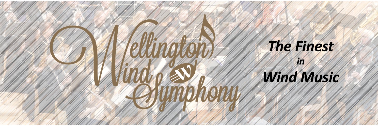 WellingtonWinds's profile banner image