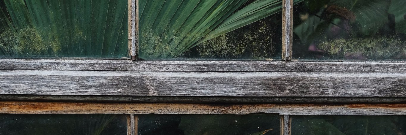 bakkabun's profile banner image