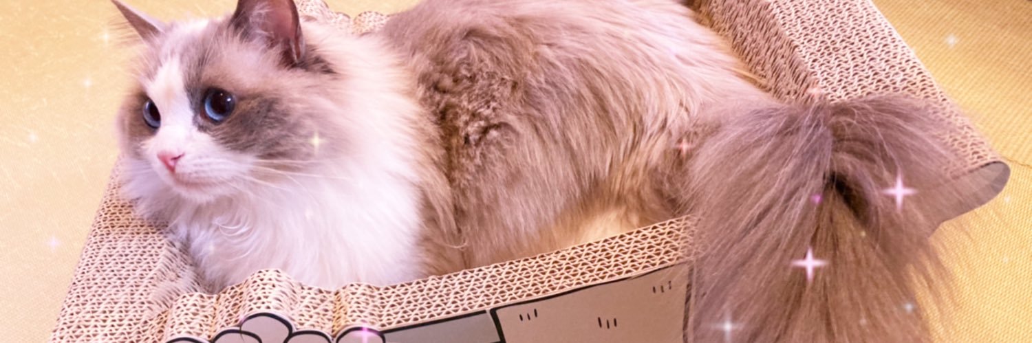 朱理 banner
