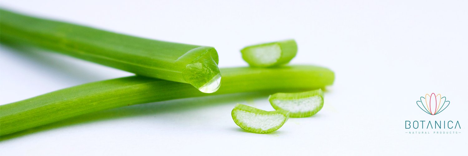 BotanicaTIMOLA's profile banner image