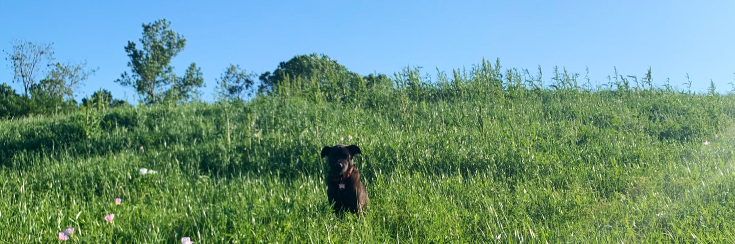 cristinflora's profile banner image