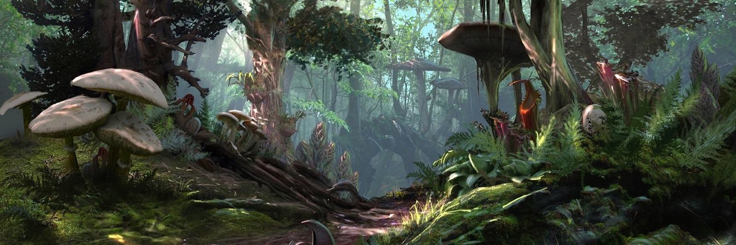 swampfoxib's profile banner image