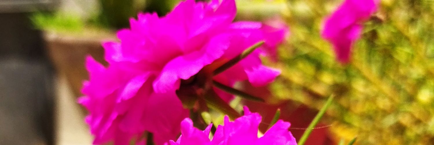 Ayubi42's profile banner image