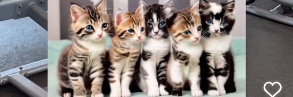 lilDREC0 Profile Banner