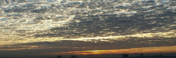 FotedarAmit Profile Banner