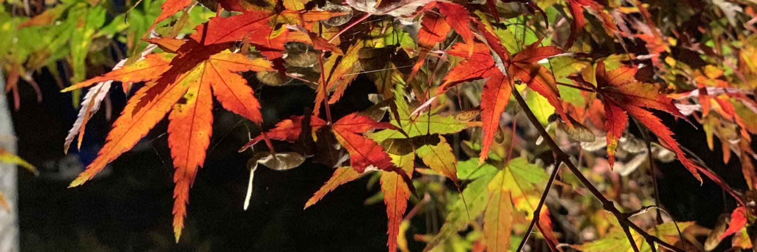 myjm_s's profile banner image